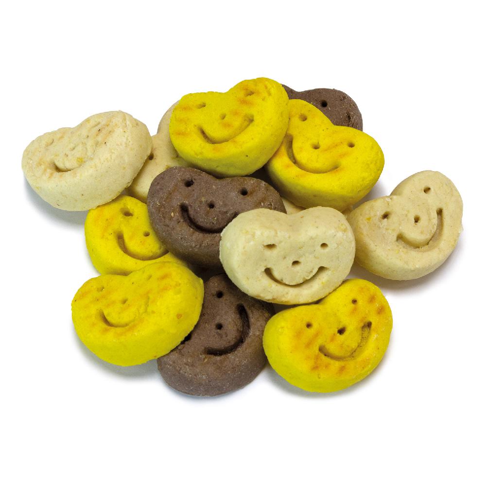 Miscota Arquivet Galletas Smiles para Perros Enormi sconti