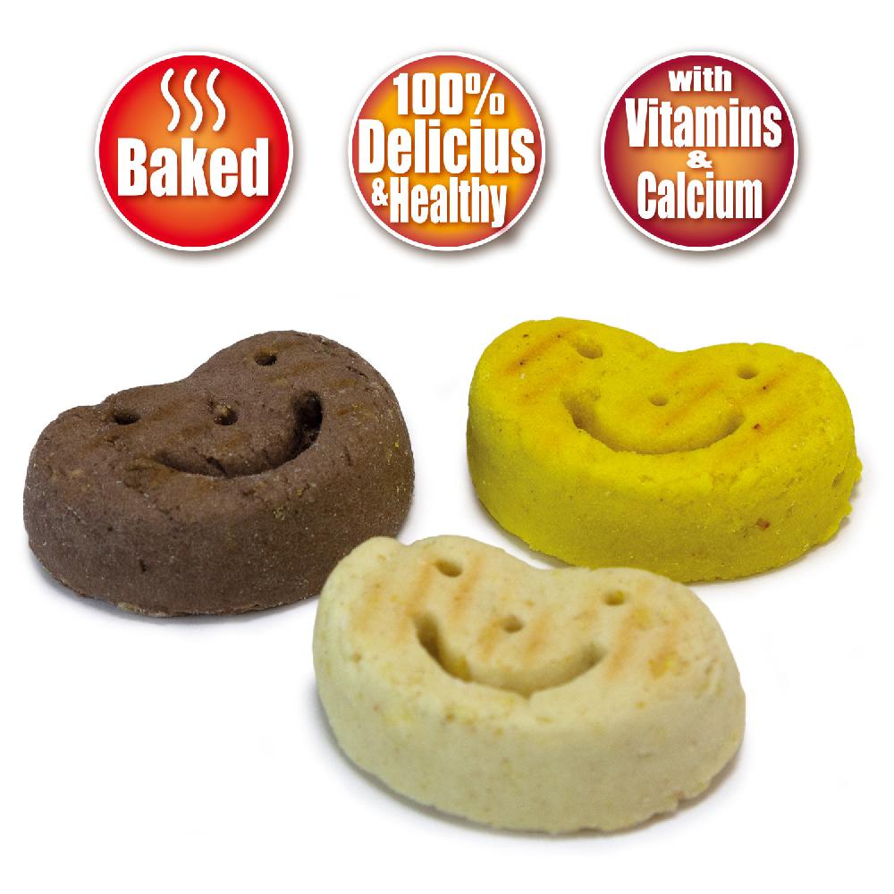 Miscota Arquivet Galletas Smiles para Perros Enormi sconti