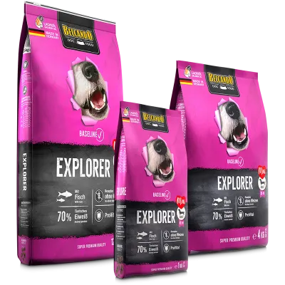 Miscota Belcando Pienso Baseline Explorer de Pescado para Perros Pequeños y Medianos In vendita