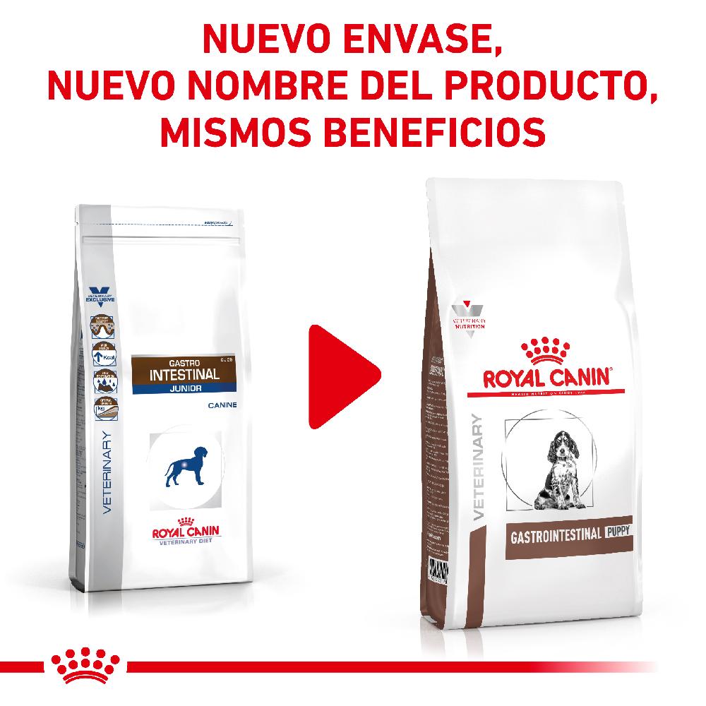 Miscota Royal Canin Cibo Secco per Cani Gastro Intestinalcanine Junior Italy