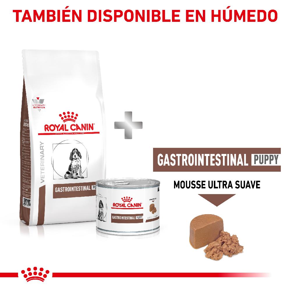 Miscota Royal Canin Cibo Secco per Cani Gastro Intestinalcanine Junior Italy