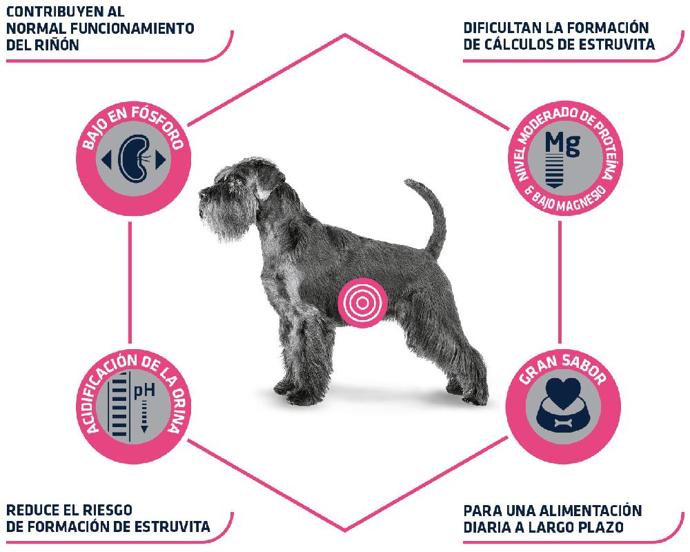 Miscota Advance Cibo Secco Veterinare Diet Urinare per Cani Qualità