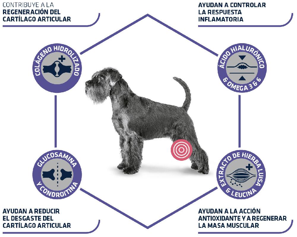 Miscota Advance Cibo Secco Articular Care +7 Anni Vendita