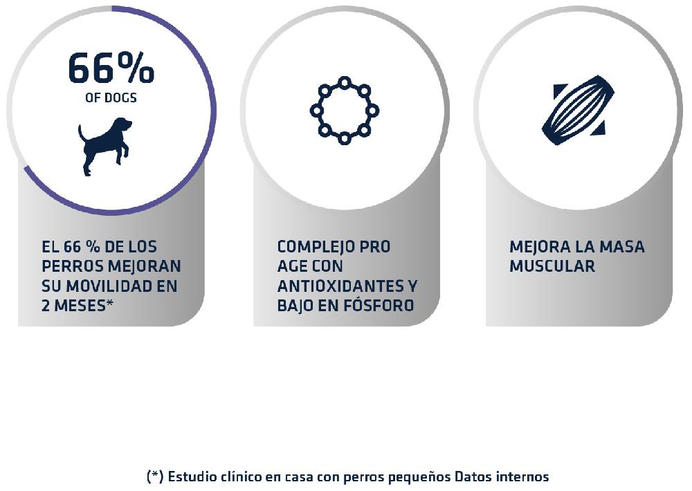 Miscota Advance Cibo Secco Articular Care +7 Anni Vendita