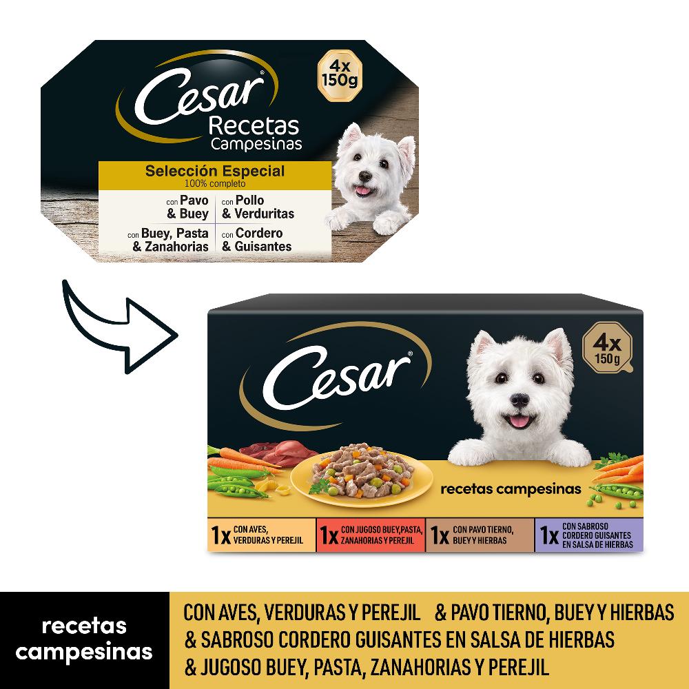 Miscota Cesar Cibo umido per cani Selezione Country Ricette in salsa multipack I Più Venduti