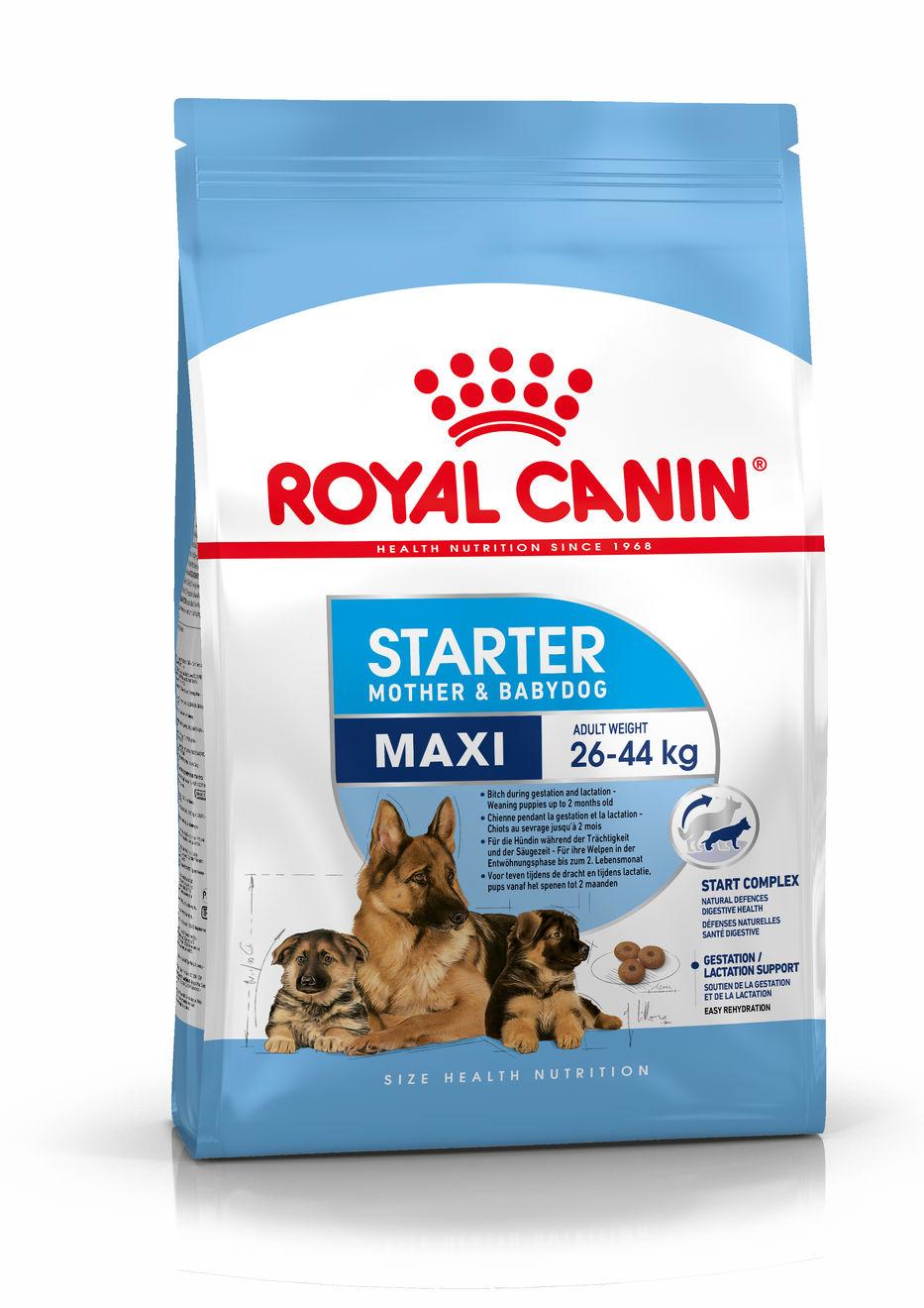 Miscota Royal Canin Cibo Secco per Cani Starter Maxi Mother & Babe Dog Offerta Pasqua