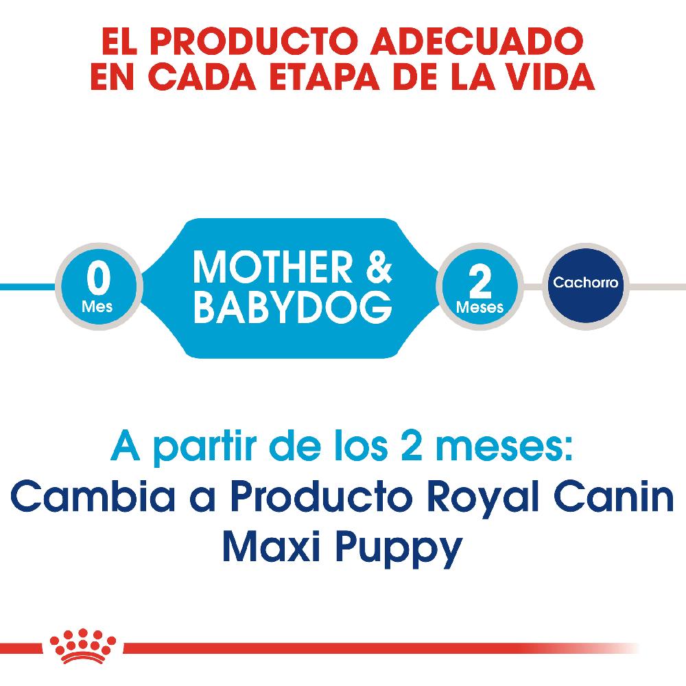 Miscota Royal Canin Cibo Secco per Cani Starter Maxi Mother & Babe Dog Offerta Pasqua