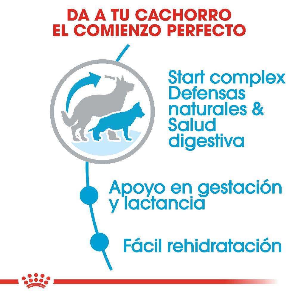 Miscota Royal Canin Cibo Secco per Cani Starter Maxi Mother & Babe Dog Offerta Pasqua