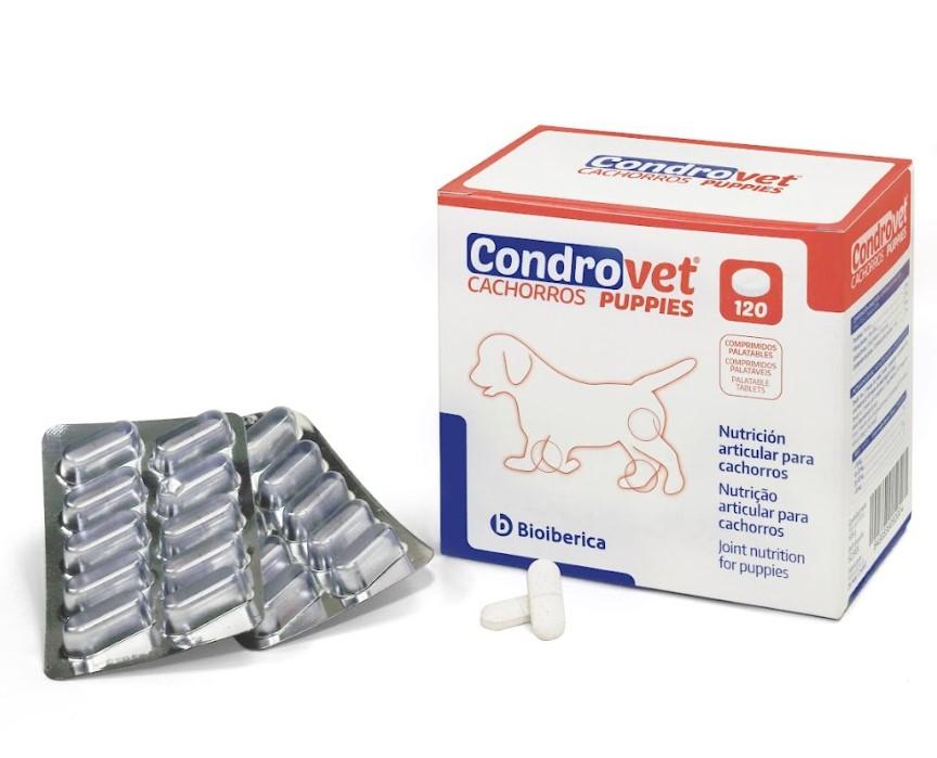 Miscota Bioiberica Condrovet Force HA Condroprotettore per le Articolazioni dei Cuccioli Offerta migliore