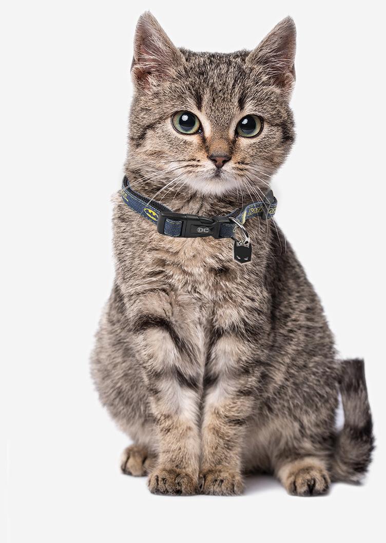 Miscota For Fan Pets Collare Batman Black Friday Prezzi
