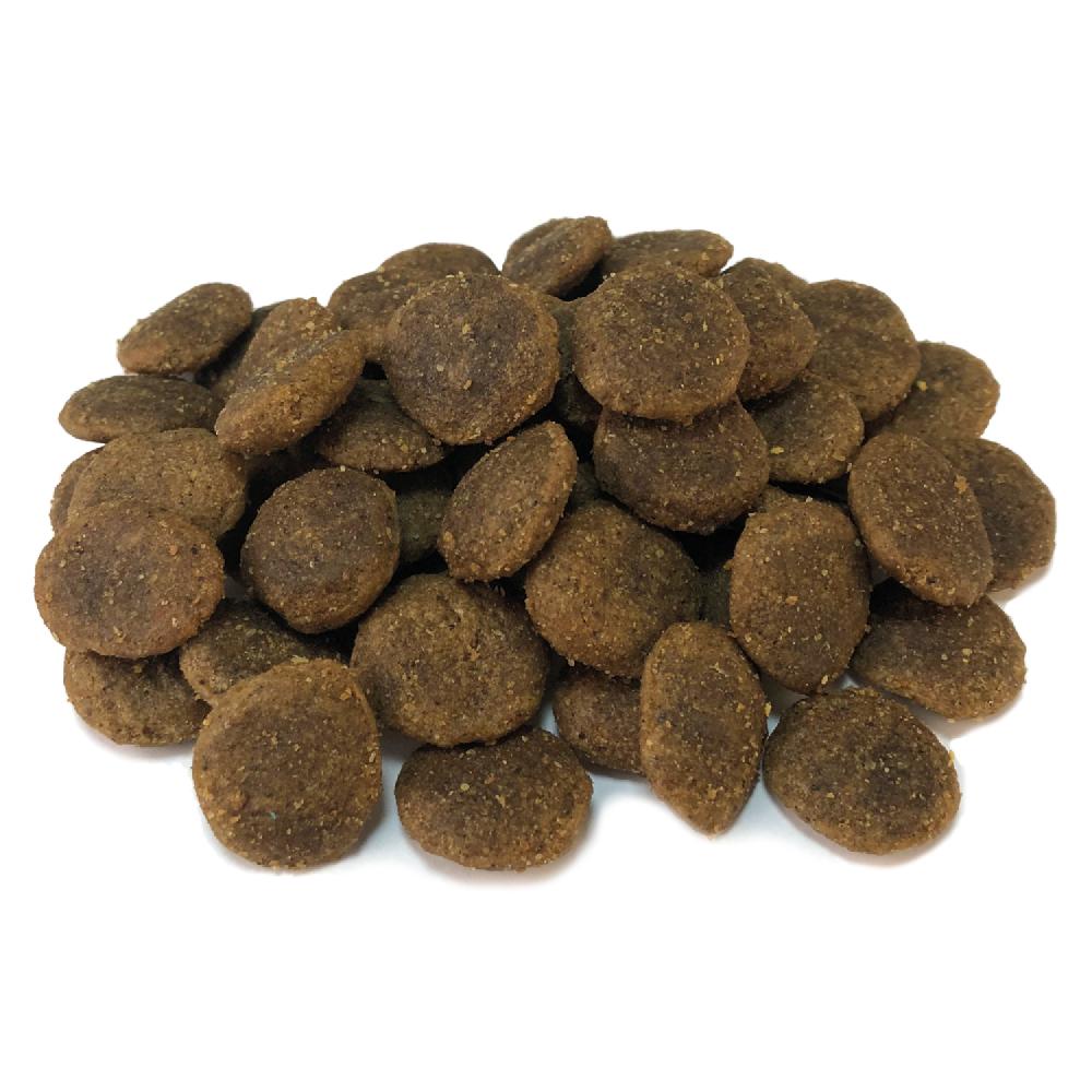 Miscota Arquivet Cibo Secco per Cani Grain Free Adult Tacchino Qualità