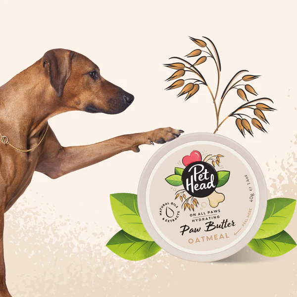 Miscota Pet Head Balsamo al cocco per zampe di cane Qualità Garantita