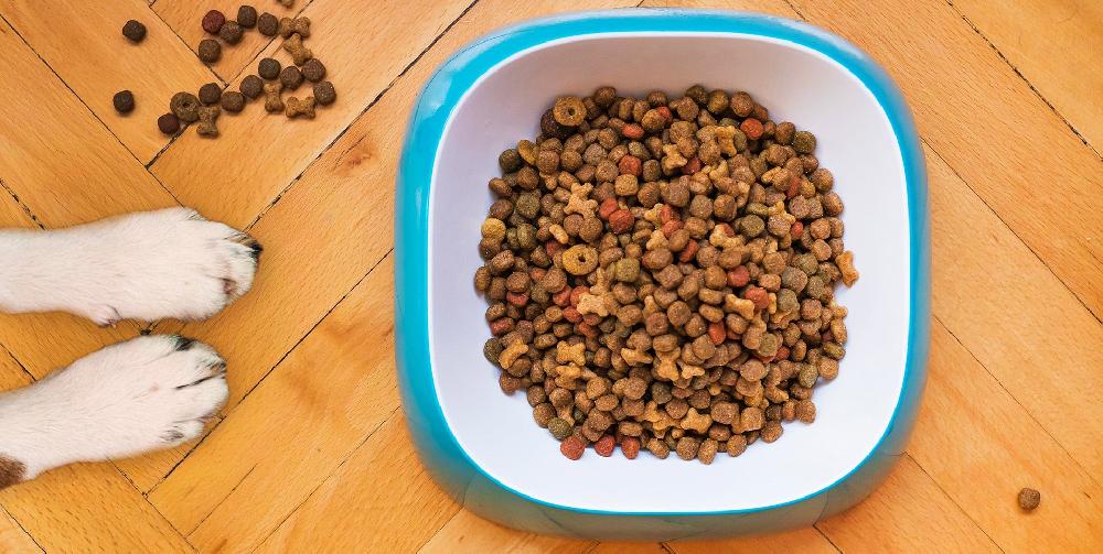 Miscota Primordial Cibo Secco per Cane Adult Bufalo e Caballa Online