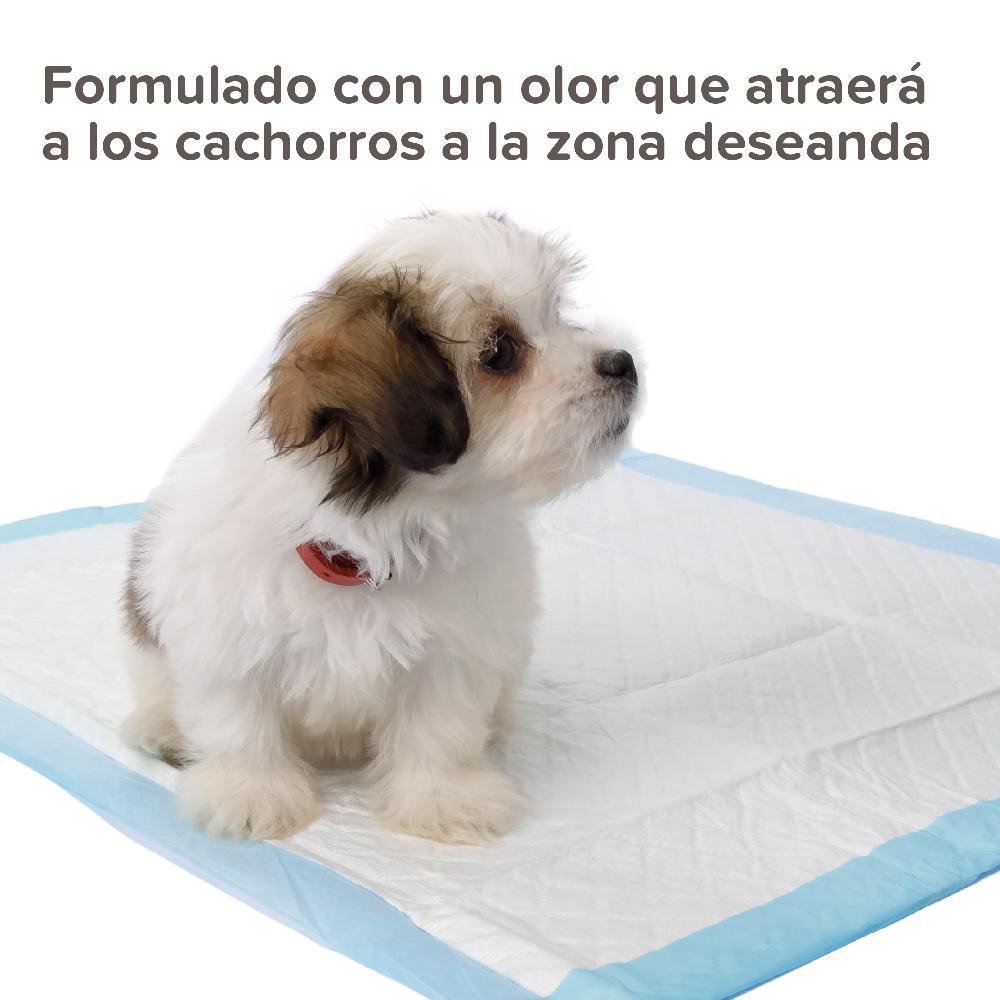 Miscota Beaphar Puppy Trainer Addestratore per Cuccioli 20 ml Offerta migliore
