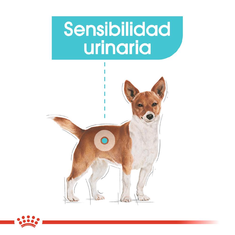 Miscota Royal Canin Mini Urinary Enormi risparmi