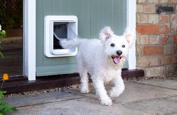 Miscota Sure Petcare SureFlap Porta con Microchip Connect Italy