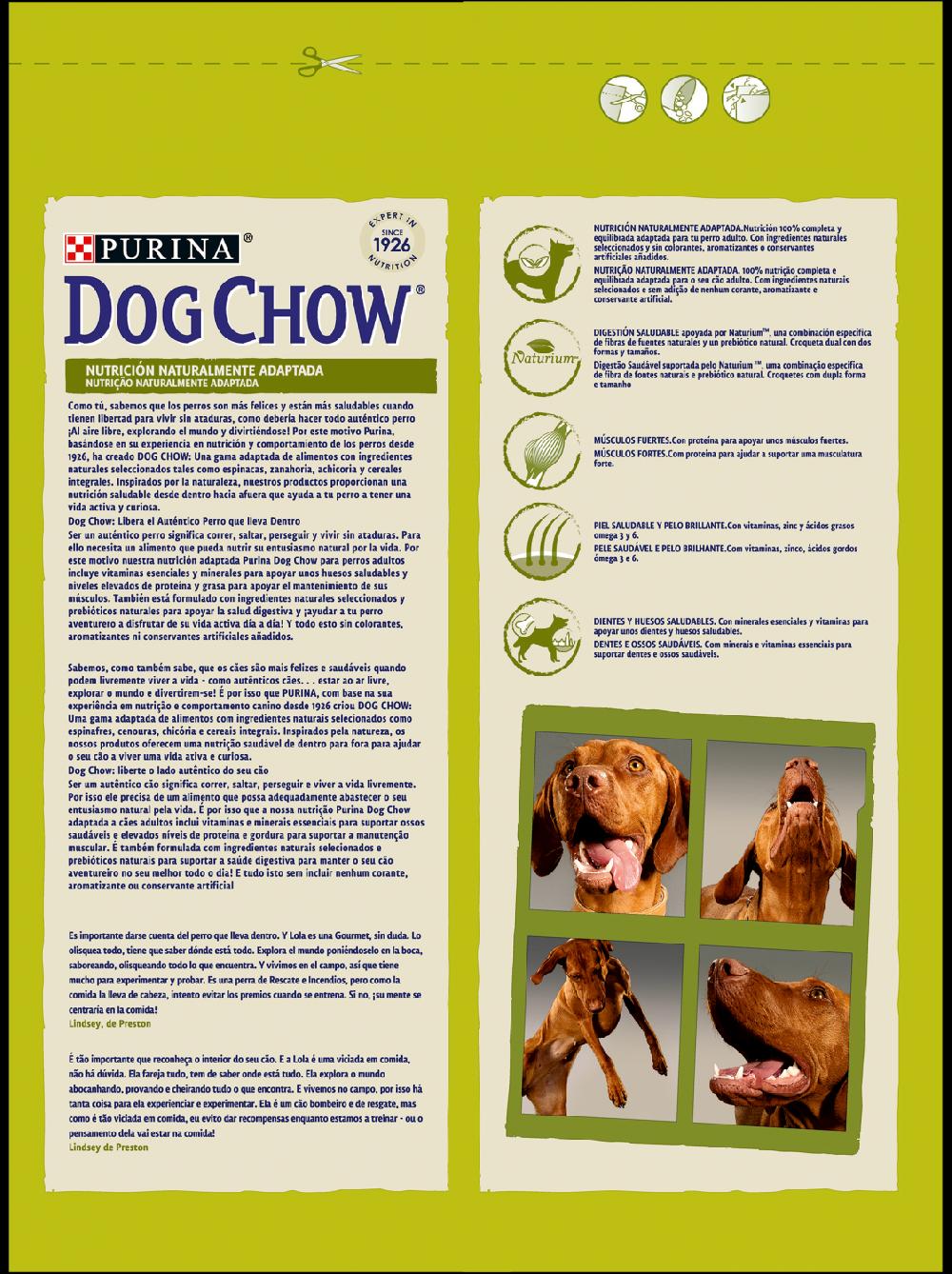 Miscota Dog Chow I Adult Agnello Pezzi Unici