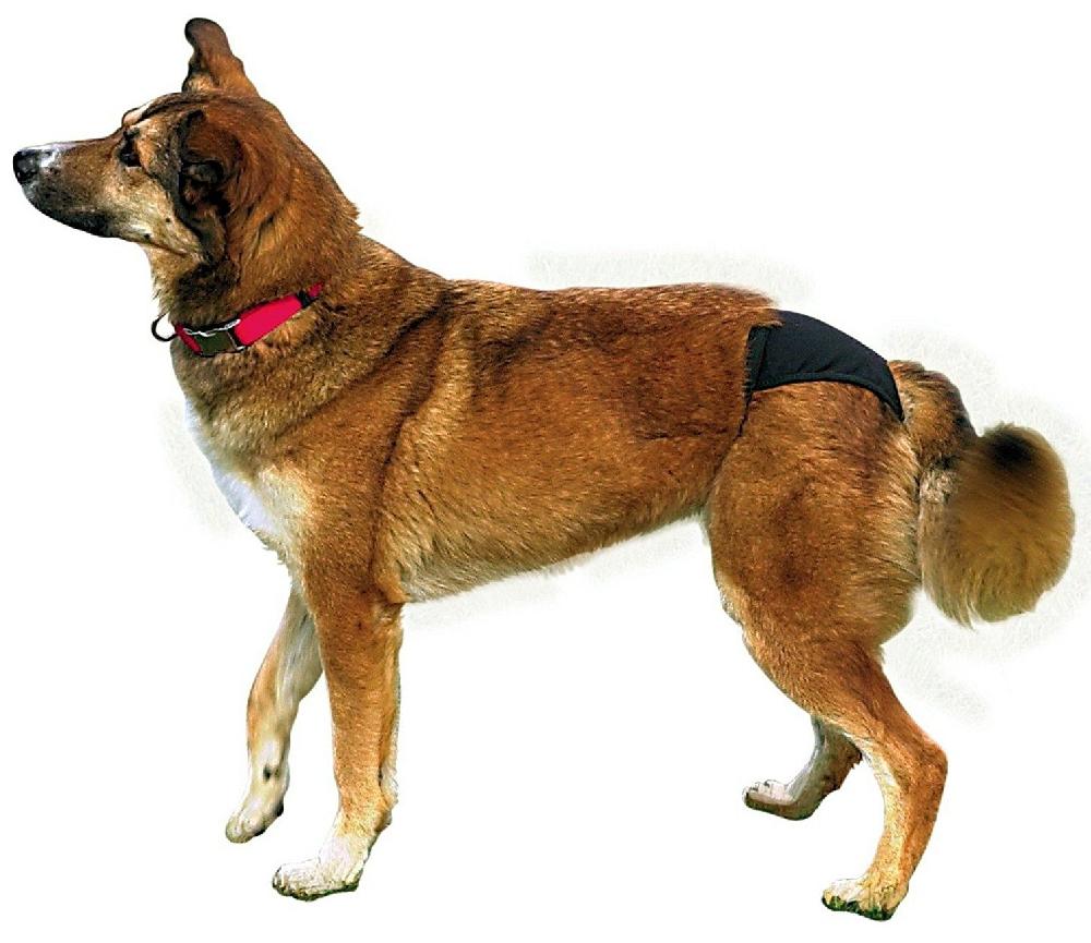 Miscota Trixie Mutandine per Cani Nere Soddisfazione Garantita