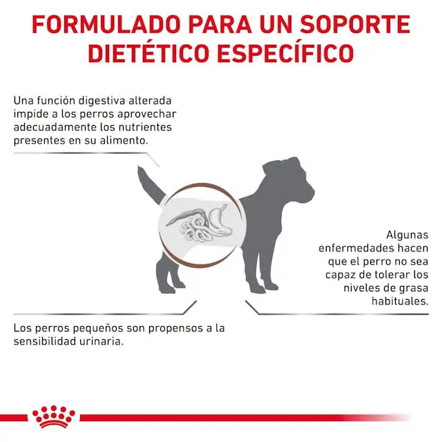 Miscota Royal Canin Alimento gastrointestinale a basso contenuto di grassi per cani di piccola taglia Bestseller