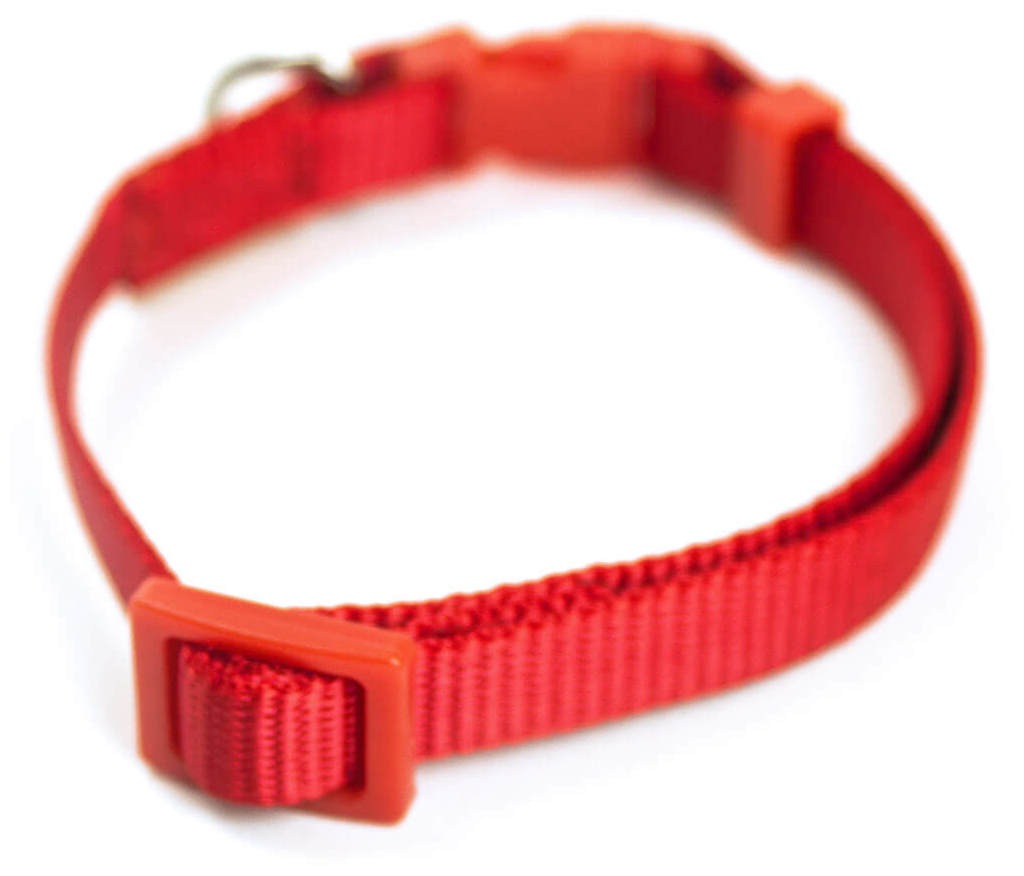 Miscota Miscota Collare di Nylon Rosso per Cani Offerte speciali