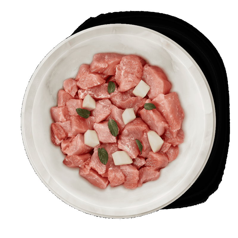 Terra Felis Cibo Umido Monoproteico per Gatti Nuovo