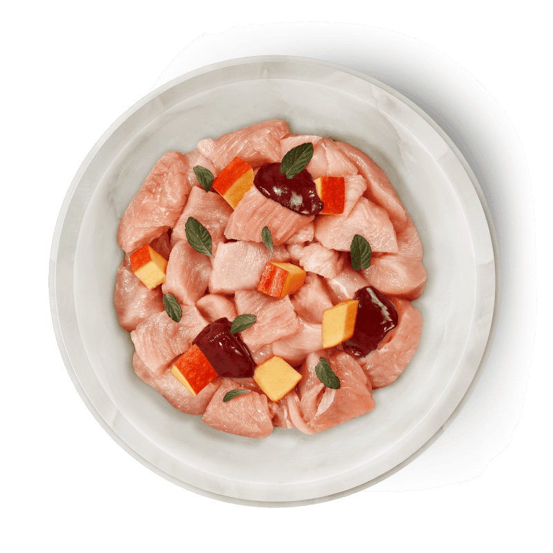 Terra Felis Cibo Umido Multiproteico per Gatti Promozione