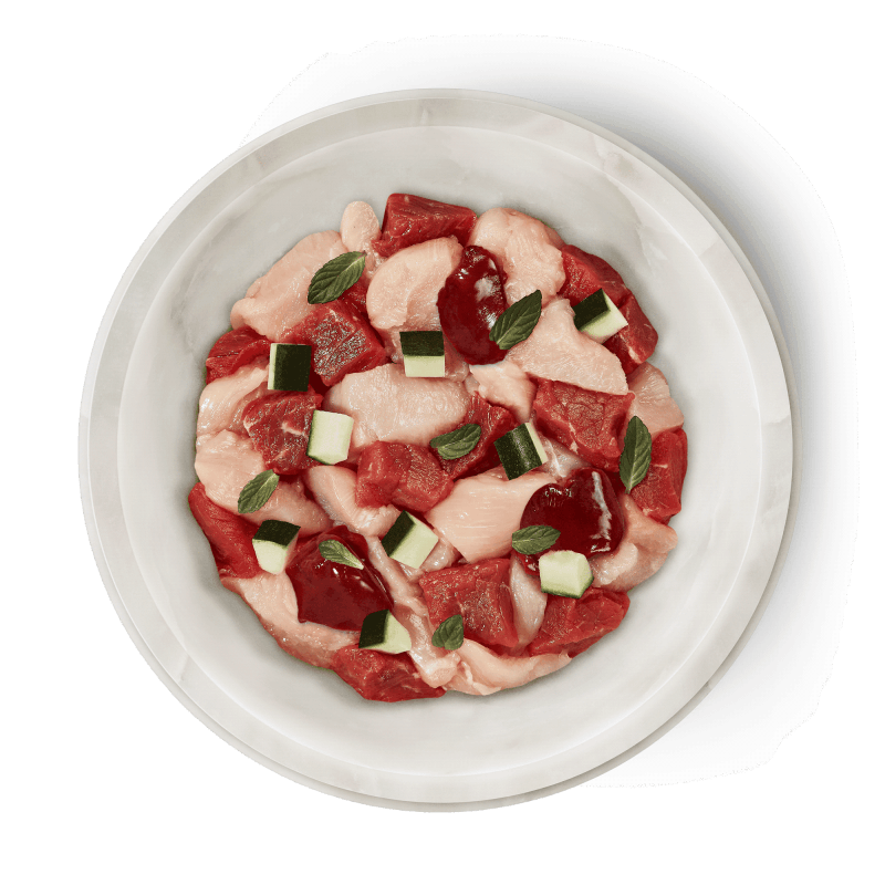 Terra Felis Cibo Umido Multiproteico per Gatti Promozione