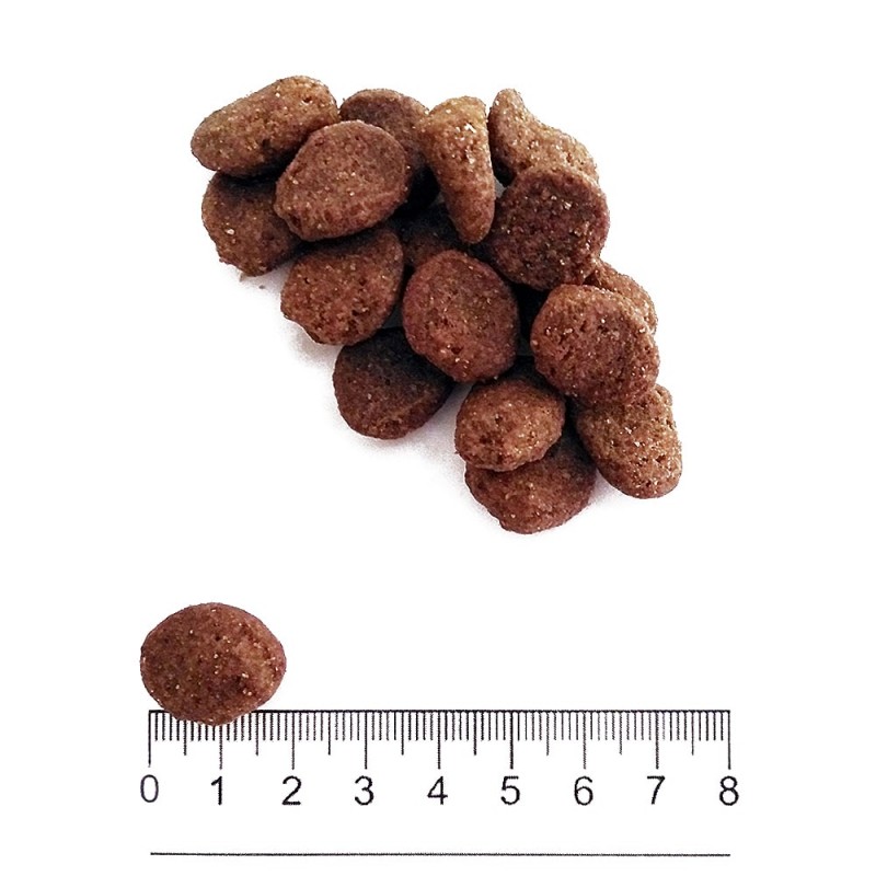 Prolife Adult Sensitive Grain Free Sogliola e Patate per Cani di Taglia Media e Grande Sconto