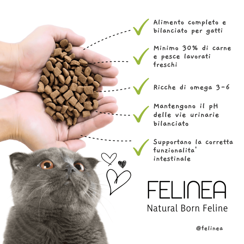 Felinea Sterilized Pollo Tonno e Salmone Grain Free per Gatti Fino Al -60%