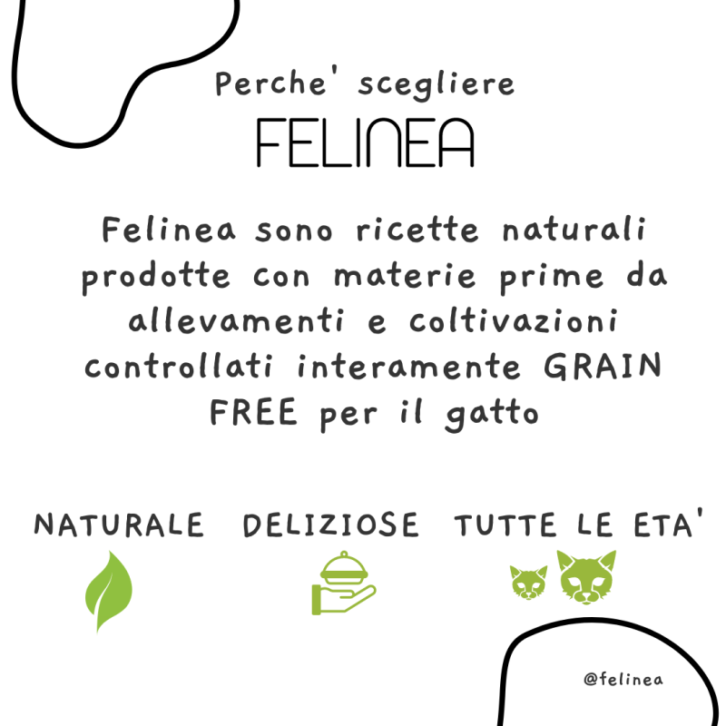 Felinea Sterilized Salmone e Pesce Bianco Grain Free per Gatti Affare Del Giorno