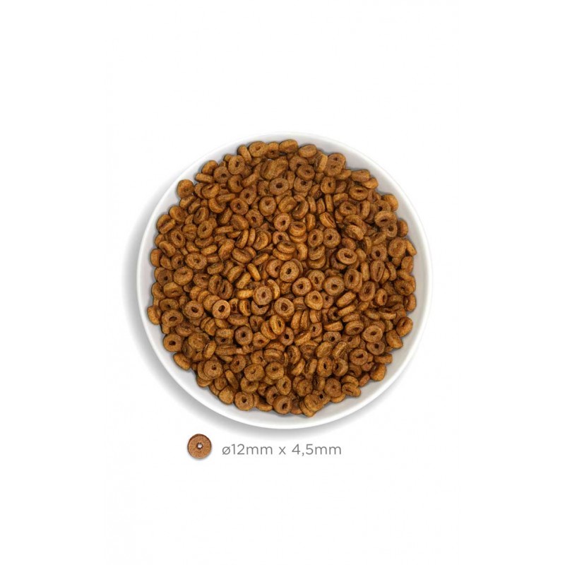 Amanova Adult Cat al Salmone per Gatti Saldi
