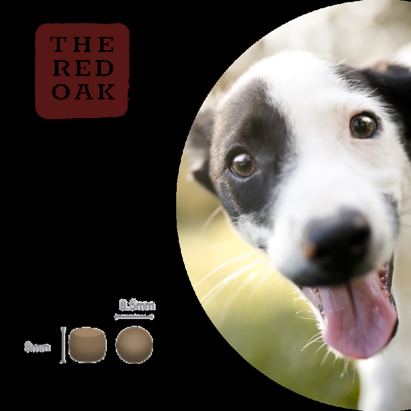 The Red Oak Puppy Pollo Tacchino e Salmone Grain Free per Cuccioli In Linea