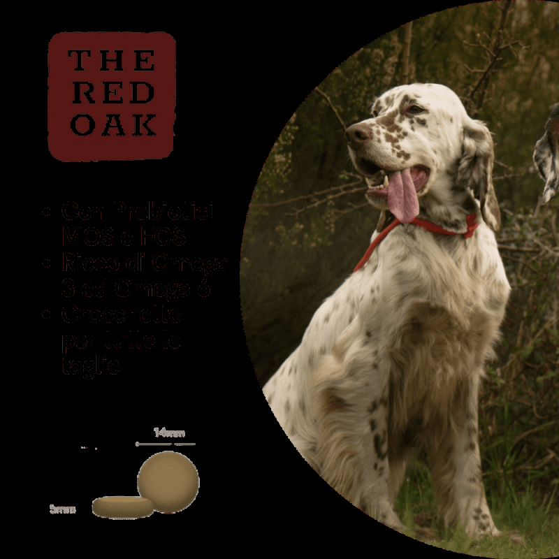 The Red Oak Manzo Angus Grain Free per Cani Nuovo