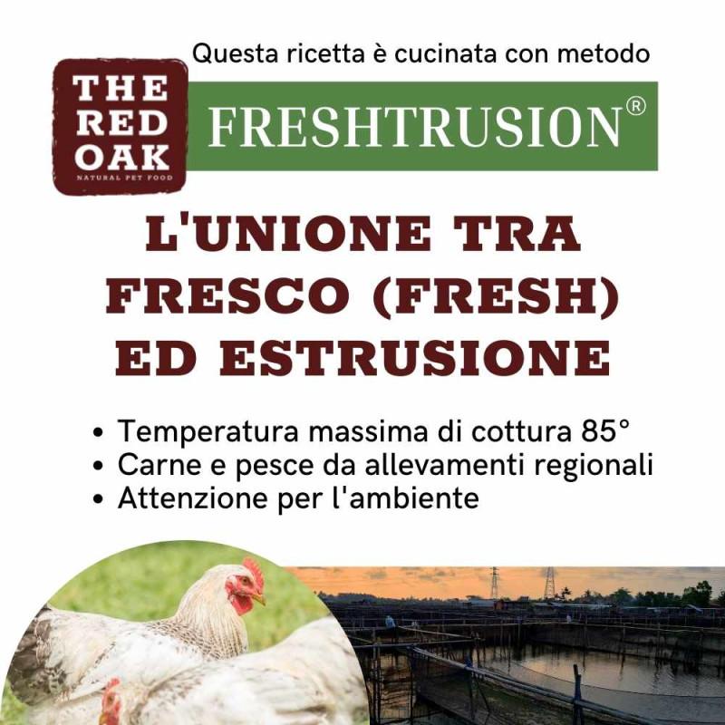 The Red Oak Manzo Angus Grain Free per Cani Nuovo