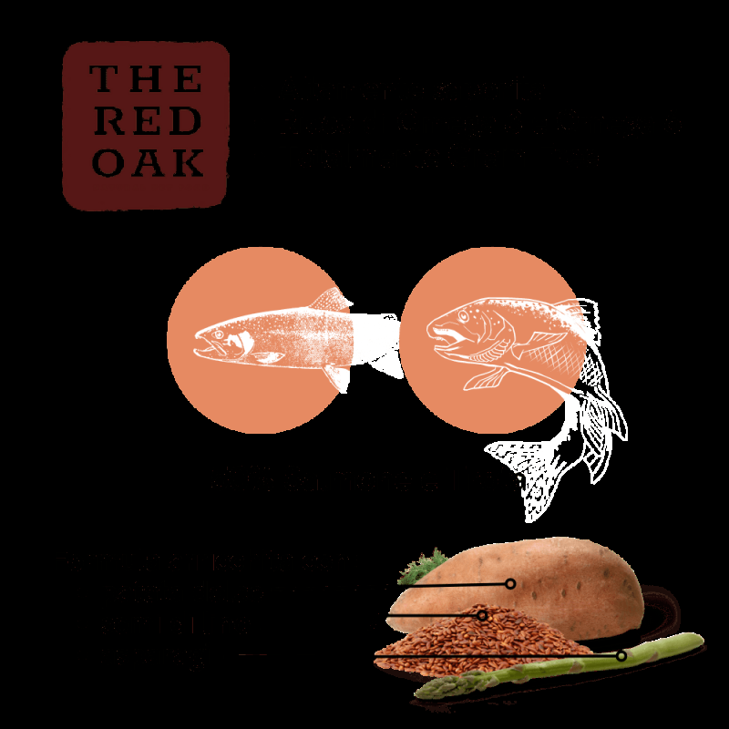 The Red Oak Salmone con Trota Grain Free Per Cani Saldi Di Fabbrica