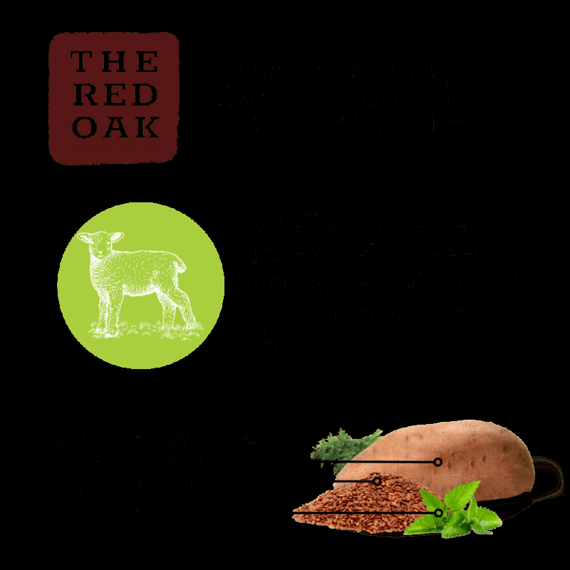 The Red Oak Agnello e Menta Grain Free per Cani di Piccola Taglia In Saldo