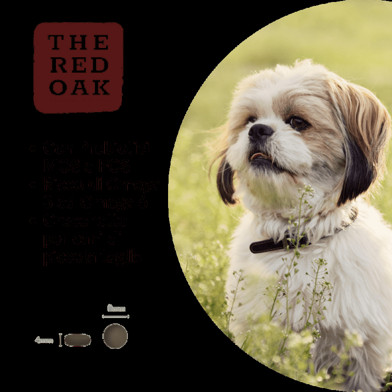 The Red Oak Agnello e Menta Grain Free per Cani di Piccola Taglia In Saldo