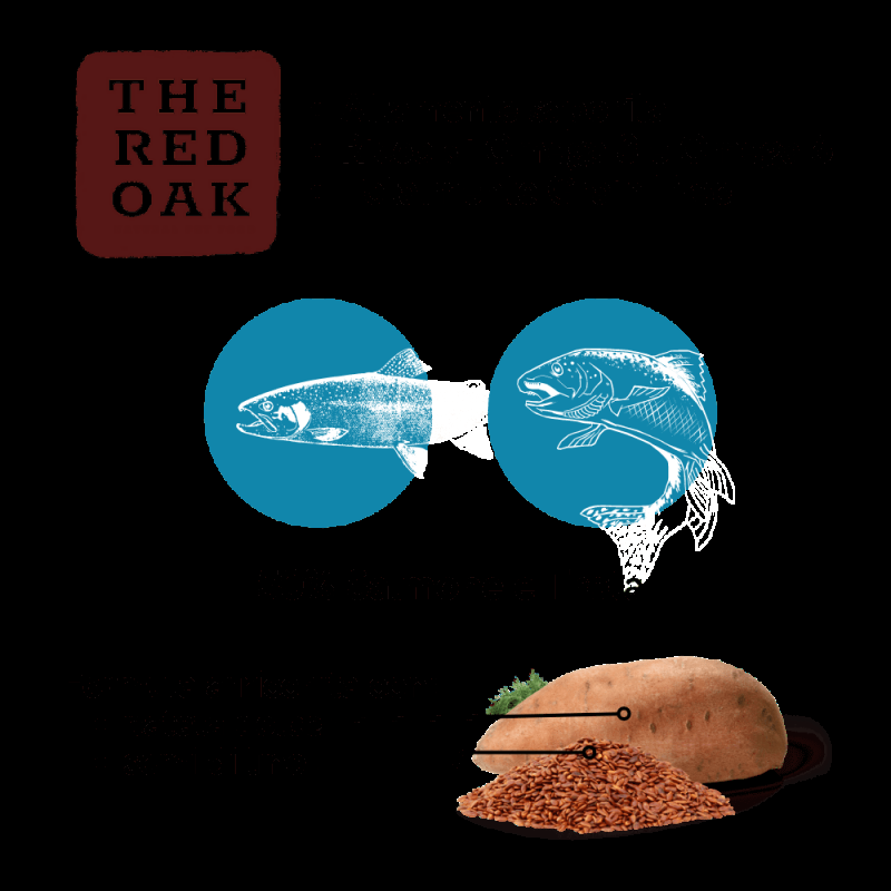 The Red Oak Trota e Salmone Grain Free per Cani di Taglia Grande Nuova