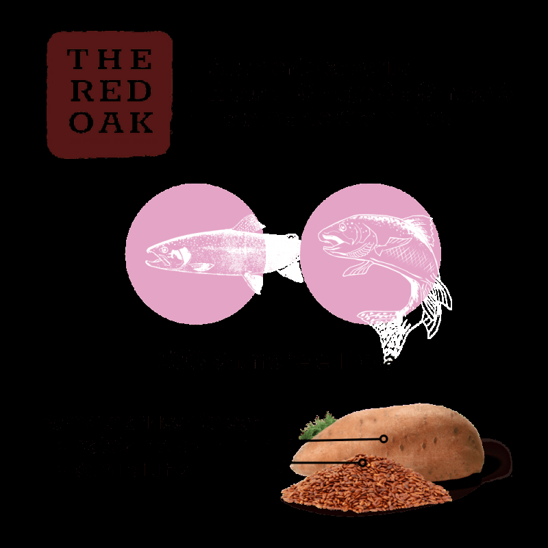 The Red Oak Salmone e Trota Grain Free per Cani di Piccola Taglia Moda