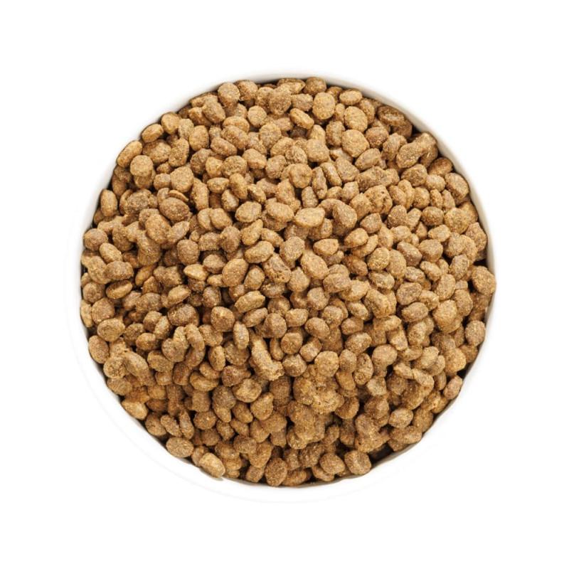 Ownat Author Grain Free Sterilized con Pollo Fresco per Gatti Sterilizzati Vendite stagionali