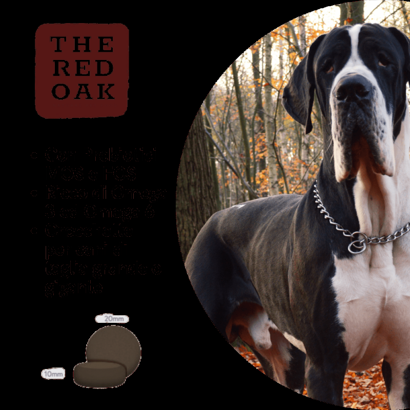 The Red Oak Tacchino e Mirtilli Rossi Grain Free per Cani di Taglia Grande Black Friday