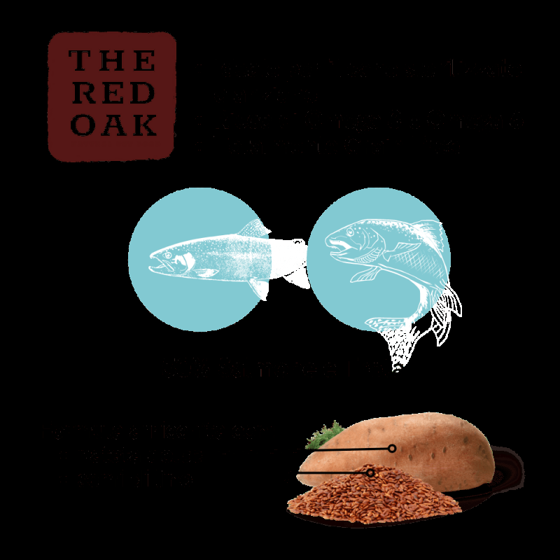 The Red Oak Light Senior Trota e Salmone Grain Free per Cani Cyber Monday