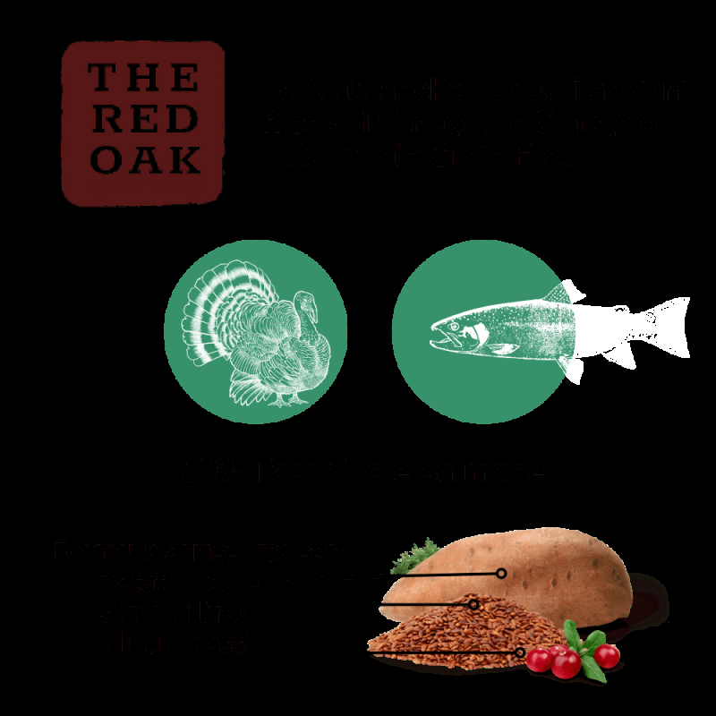 The Red Oak Light Senior Tacchino e Mirtilli Grain Free per Cani Offerta Pasqua