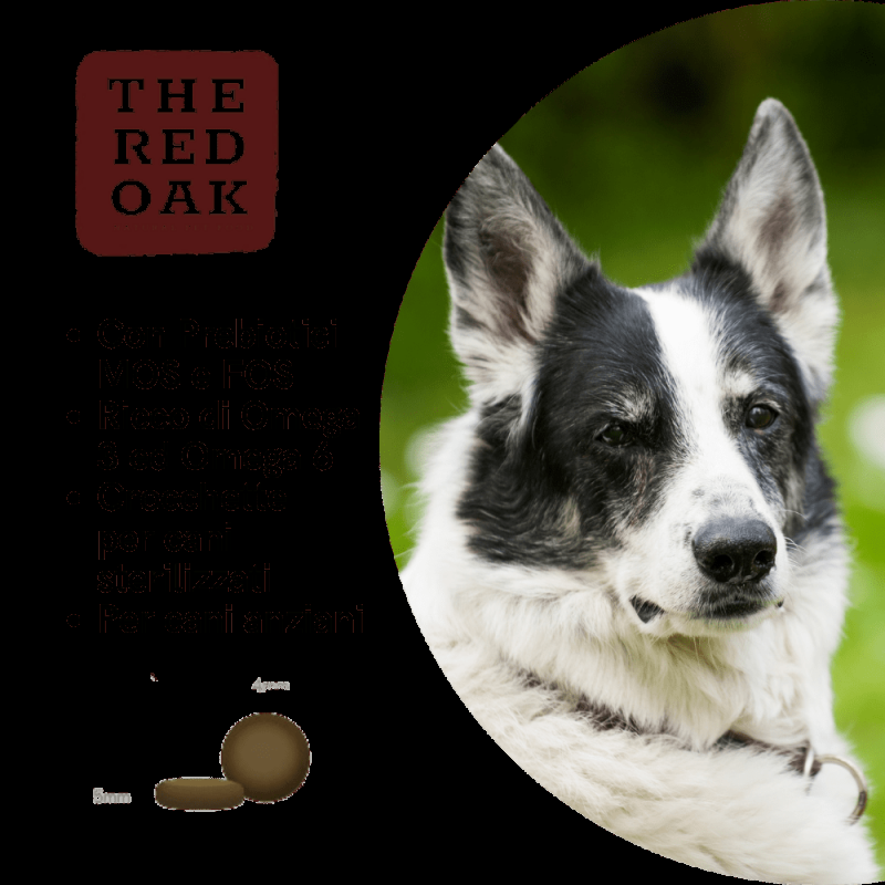 The Red Oak Light Senior Tacchino e Mirtilli Grain Free per Cani Offerta Pasqua