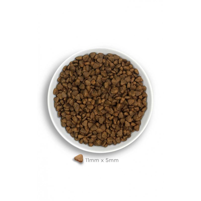 Amanova Adult Mini Digestive al Coniglio per Cani Offerta Giorno del Papà