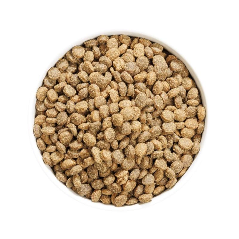 Ownat Author Grain Free Agnello e Maiale Cibo Secco per Cani Offerte esclusive