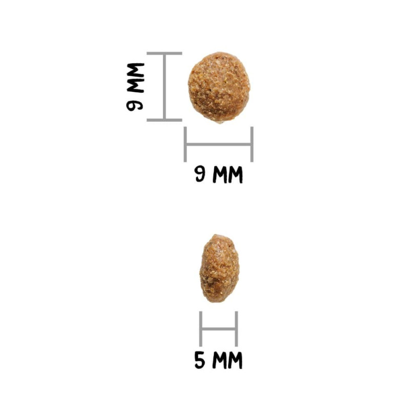 Ownat Author Grain Free Agnello e Maiale Cibo Secco per Cani Offerte esclusive