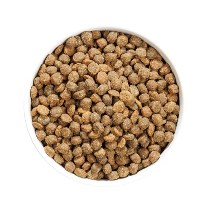 Ownat Author Junior Grain Free Pollo Cibo Secco per Cuccioli Grandi sconti