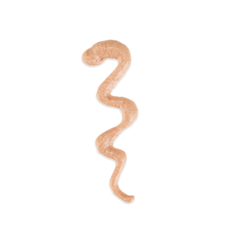 Schesir Stix Cat Creamy Snack per Gatti Pezzi Unici