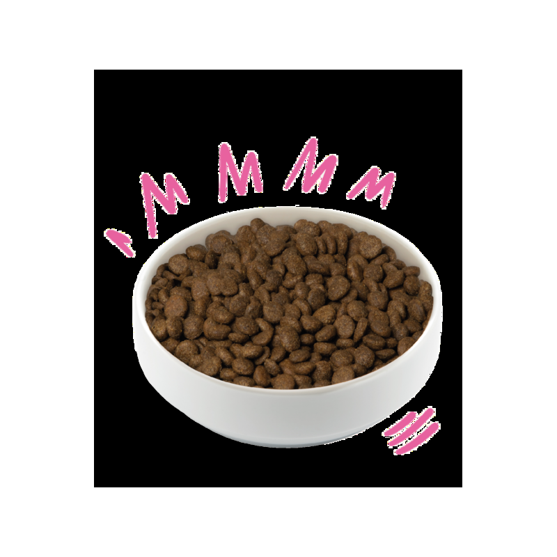 Edgard Cooper Plant Based Barbabietola e Zucca per Cani Offerta
